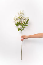 White Lilac Stem - 34