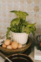 Fluted Stoneware Pot - 2 Sizes