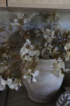Prunus Blossom Stem - 41