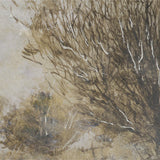 Timeless Vista II Wall Art