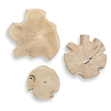 Kalani Outdoor Wood Wall Decor - Set of 3