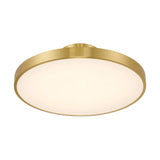 Thayer LED Ceiling Light