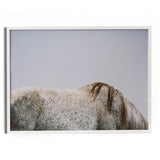 Graze Wall Art