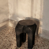 Root Stool