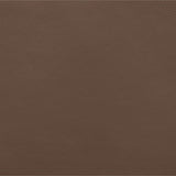 Rawlins Vegan Leather Chair