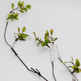 Leafy Stem - 39"