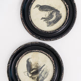 Eerie Assorted Framed Bird Prints - Set of 2