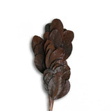 Katal Leaves Bundle
