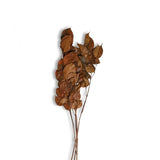 Bougon Branch Bundle