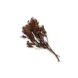 Jhau Tree Bundle