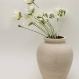 Chateau Natural Terracotta Vase