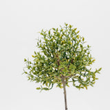 Good Feeling Thyme Topiary - 13"