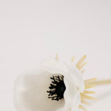 Lettie Anemone Stem - White
