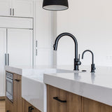 Continental Single-Handle Deck Mount Water Filtration Faucet