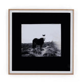 Blank Horse Wall Art by Annie Spratt