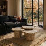 Emara 3-Piece Coffee Table