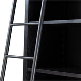 Admont Bookcase and Ladder