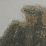 Sonora Wall Art by Paul Meyer