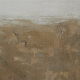 Sonora Wall Art by Paul Meyer