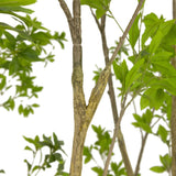 Designer Approved - Faux Pieris Tree - 2 Sizes