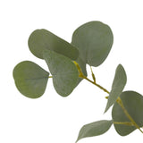 Designer Approved - Faux Eucalyptus Tree