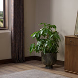 Avenza Planter