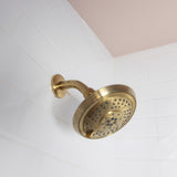 Trimscape 6" Shower Arm