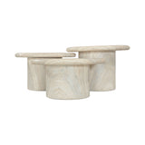 Emara 3-Piece Coffee Table