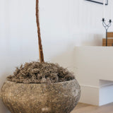 Roni Planter- WAREHOUSE PICKUP ONLY
