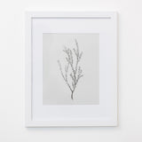 Enid Wall Art