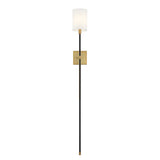 Fragment Plug-In Sconce