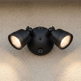 LED Double Flood Light