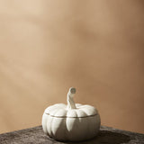 Hallow's Eve Pumpkin