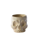 Haunting Skull Pot - 2 Sizes