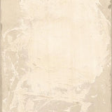 Whispers on Parchment Wall Art