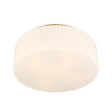 Edgemont Ceiling Light