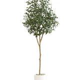 6' Artificial Olive Tree With White Decorative Planter