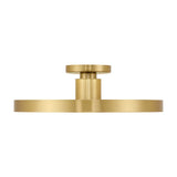 Thayer LED Ceiling Light