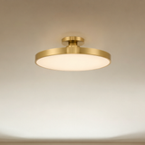 Thayer LED Ceiling Light