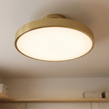 Thayer LED Ceiling Light