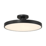 Thayer LED Ceiling Light