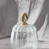 Translucent Pumpkin Terrarium