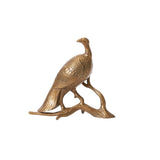Merriam Turkey - 2 Sizes