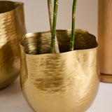 Novella Pot
