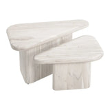 Navidic Coffee Table Set