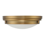 Lucerne Ceiling Light