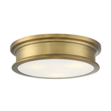 Watkins Ceiling Light