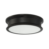 Watkins Ceiling Light