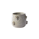 House Spider Pot