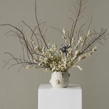 House Spider Pot